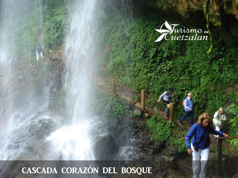 Cascada corazón del bosque