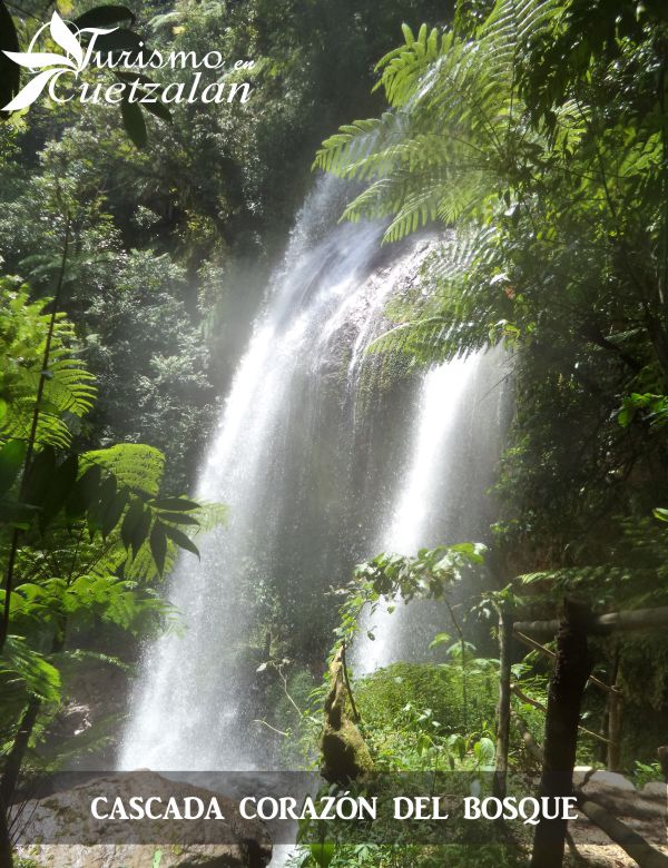 Cascada corazón del bosque