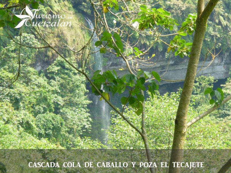 Cascada Cola de caballo