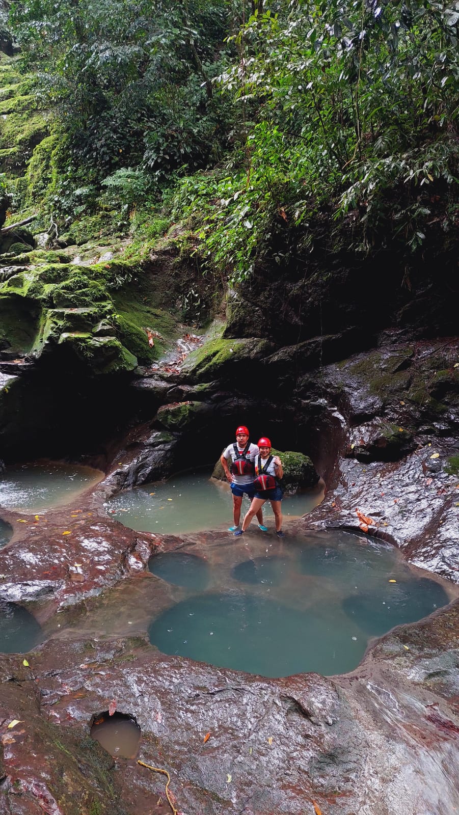 Paquete 1 - Pata de Perro