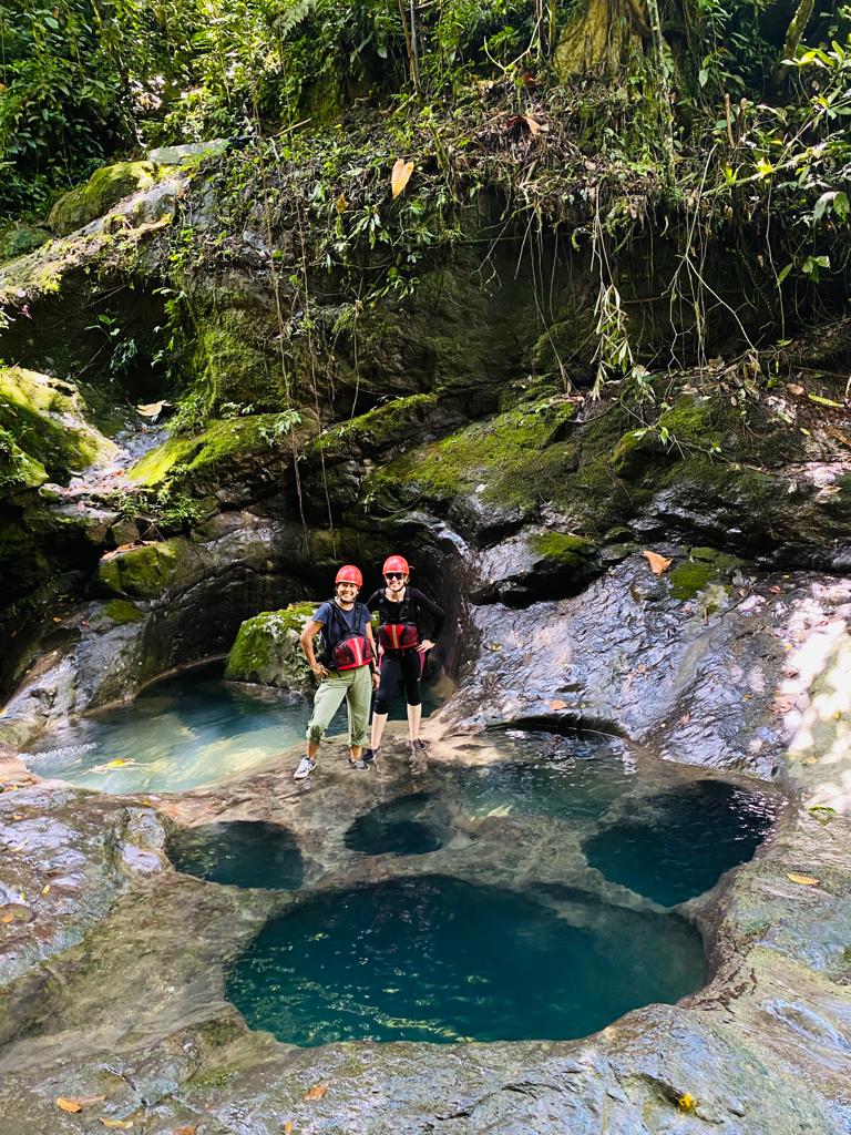 Paquete 1 - Pata de Perro